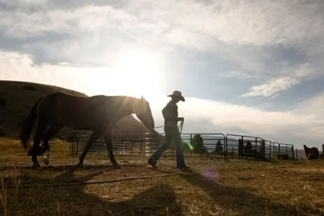 Discover the American Female Ranchers Redefining Modern Ranch Life