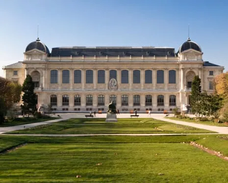 Invaluable Golden Samples Snatched in Daring Robbery at French National Institution